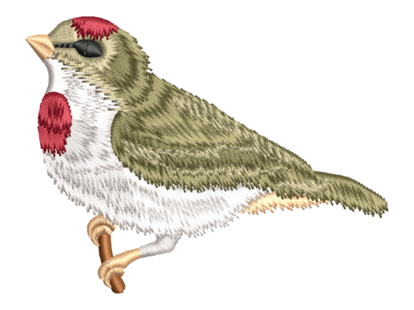 Reviewing the Red Capped Songbird Embroidery Design